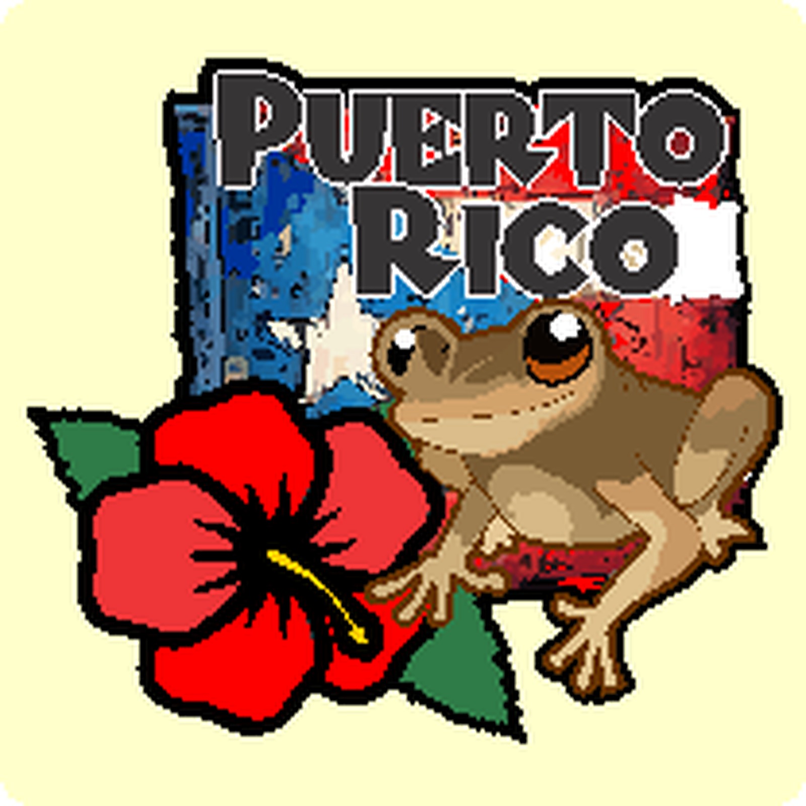 Imán Coquí · Hibisco & Mapa PR