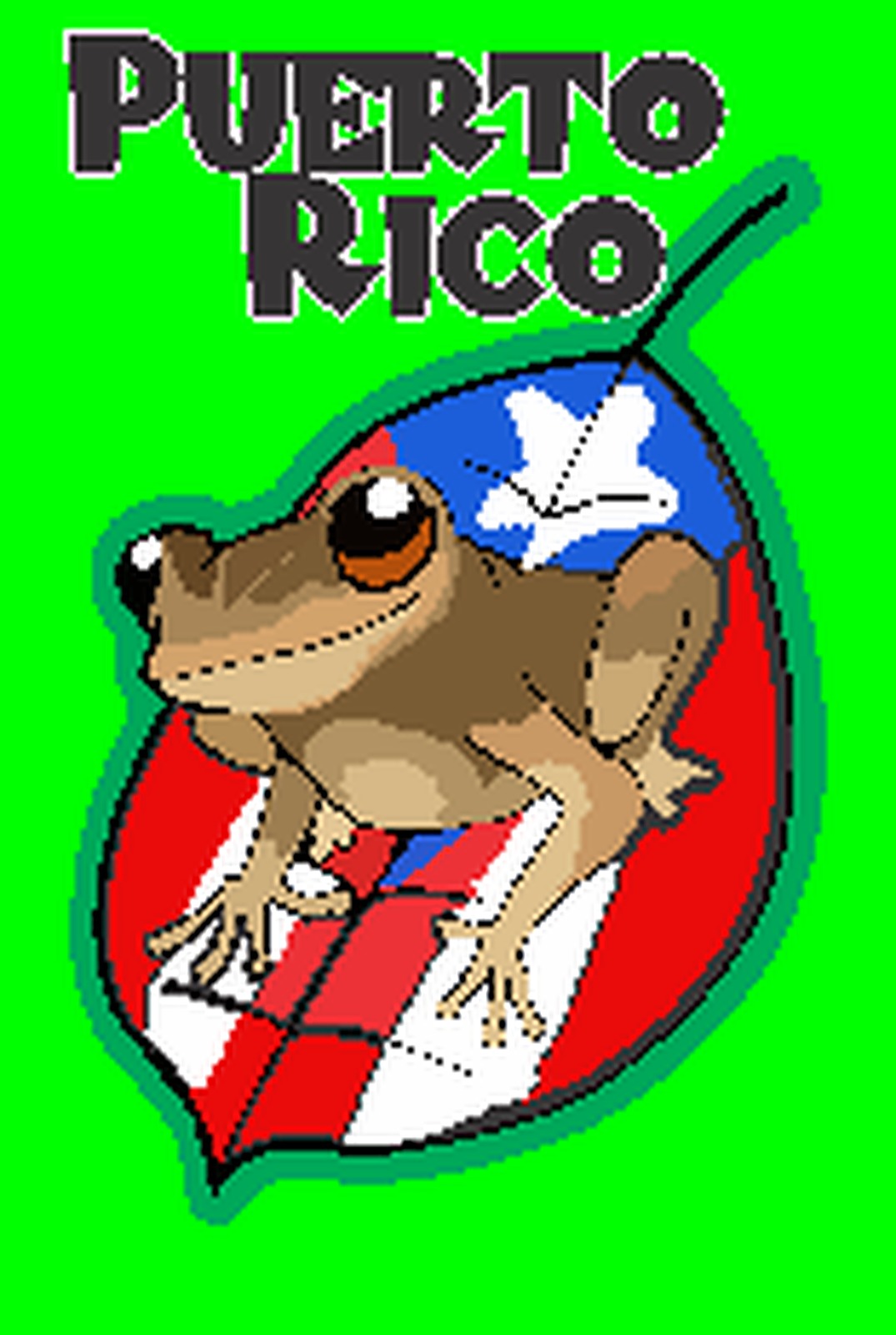 Imán Coquí Verde · Bandera